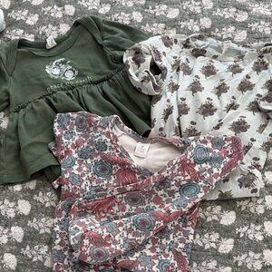 kate quinn Green, Cream, and Pink Bodysuits